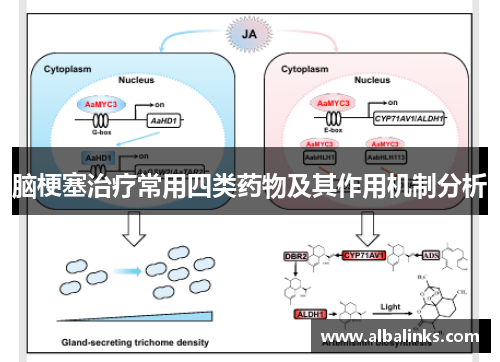 脑梗塞治疗常用四类药物及其作用机制分析