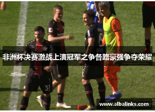 非洲杯决赛激战上演冠军之争各路豪强争夺荣耀